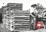 Image of lumber industry United States USA, 1920, second 13 stock footage video 65675064427
