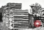 Image of lumber industry United States USA, 1920, second 14 stock footage video 65675064427