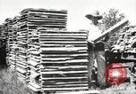 Image of lumber industry United States USA, 1920, second 15 stock footage video 65675064427