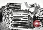 Image of lumber industry United States USA, 1920, second 16 stock footage video 65675064427