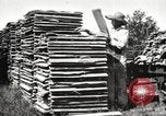 Image of lumber industry United States USA, 1920, second 17 stock footage video 65675064427