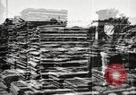 Image of lumber industry United States USA, 1920, second 18 stock footage video 65675064427