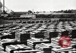 Image of lumber industry United States USA, 1920, second 19 stock footage video 65675064427