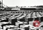 Image of lumber industry United States USA, 1920, second 20 stock footage video 65675064427