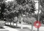 Image of An automobile almost hits pedestrians in center of a road Michigan United States USA, 1916, second 62 stock footage video 65675064462