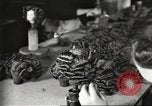 Image of Toy Industry Philadelphia Pennsylvania USA, 1916, second 23 stock footage video 65675064464