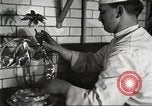 Immagine di Statler Hotel Detroit Michgan USA, 1916, secondo 18 filmato di repertorio 65675064468