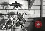 Immagine di Statler Hotel Detroit Michgan USA, 1916, secondo 32 filmato di repertorio 65675064468