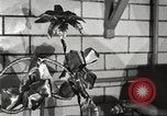 Immagine di Statler Hotel Detroit Michgan USA, 1916, secondo 35 filmato di repertorio 65675064468