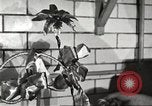 Immagine di Statler Hotel Detroit Michgan USA, 1916, secondo 36 filmato di repertorio 65675064468