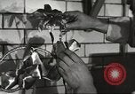Immagine di Statler Hotel Detroit Michgan USA, 1916, secondo 37 filmato di repertorio 65675064468
