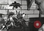 Immagine di Statler Hotel Detroit Michgan USA, 1916, secondo 41 filmato di repertorio 65675064468