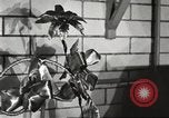 Immagine di Statler Hotel Detroit Michgan USA, 1916, secondo 43 filmato di repertorio 65675064468