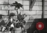 Immagine di Statler Hotel Detroit Michgan USA, 1916, secondo 44 filmato di repertorio 65675064468