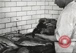 Immagine di Statler Hotel Detroit Michigan USA, 1916, secondo 30 filmato di repertorio 65675064471