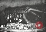 Image of canning industry United States USA, 1919, second 12 stock footage video 65675064483