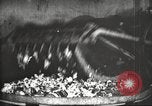 Image of canning industry United States USA, 1919, second 13 stock footage video 65675064483