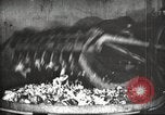 Image of canning industry United States USA, 1919, second 14 stock footage video 65675064483