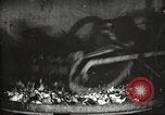 Image of canning industry United States USA, 1919, second 18 stock footage video 65675064483