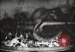 Image of canning industry United States USA, 1919, second 20 stock footage video 65675064483