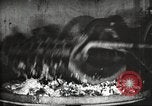 Image of canning industry United States USA, 1919, second 21 stock footage video 65675064483