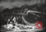 Image of canning industry United States USA, 1919, second 22 stock footage video 65675064483