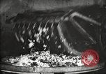 Image of canning industry United States USA, 1919, second 23 stock footage video 65675064483