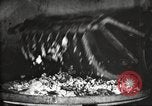 Image of canning industry United States USA, 1919, second 24 stock footage video 65675064483