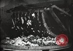 Image of canning industry United States USA, 1919, second 25 stock footage video 65675064483