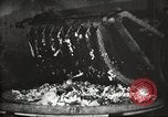 Image of canning industry United States USA, 1919, second 27 stock footage video 65675064483