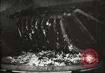 Image of canning industry United States USA, 1919, second 28 stock footage video 65675064483