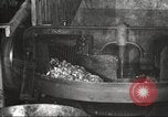 Image of canning industry United States USA, 1919, second 53 stock footage video 65675064483
