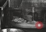 Image of canning industry United States USA, 1919, second 55 stock footage video 65675064483
