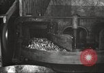 Image of canning industry United States USA, 1919, second 56 stock footage video 65675064483