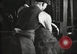 Immagine di Per i prodotti a base di carne United States USA, 1919, secondo 13 filmato di repertorio 65675064484