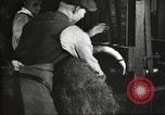 Immagine di Per i prodotti a base di carne United States USA, 1919, secondo 14 filmato di repertorio 65675064484
