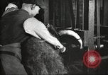 Immagine di Per i prodotti a base di carne United States USA, 1919, secondo 15 filmato di repertorio 65675064484