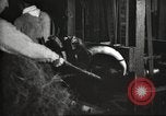 Immagine di Per i prodotti a base di carne United States USA, 1919, secondo 18 filmato di repertorio 65675064484
