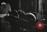 Immagine di Per i prodotti a base di carne United States USA, 1919, secondo 20 filmato di repertorio 65675064484