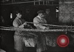 Immagine di Per i prodotti a base di carne United States USA, 1919, secondo 33 filmato di repertorio 65675064484
