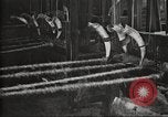 Immagine di Per i prodotti a base di carne United States USA, 1919, secondo 41 filmato di repertorio 65675064484