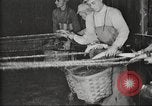Immagine di Per i prodotti a base di carne United States USA, 1919, secondo 45 filmato di repertorio 65675064484