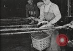 Immagine di Per i prodotti a base di carne United States USA, 1919, secondo 46 filmato di repertorio 65675064484