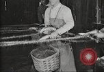 Immagine di Per i prodotti a base di carne United States USA, 1919, secondo 48 filmato di repertorio 65675064484