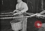 Immagine di Per i prodotti a base di carne United States USA, 1919, secondo 49 filmato di repertorio 65675064484