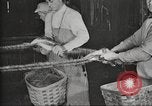 Immagine di Per i prodotti a base di carne United States USA, 1919, secondo 50 filmato di repertorio 65675064484