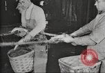 Immagine di Per i prodotti a base di carne United States USA, 1919, secondo 51 filmato di repertorio 65675064484