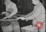 Immagine di Per i prodotti a base di carne United States USA, 1919, secondo 52 filmato di repertorio 65675064484