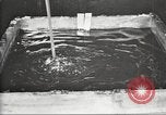 Image of by-products of meat United States USA, 1919, second 13 stock footage video 65675064485