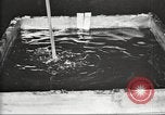 Image of by-products of meat United States USA, 1919, second 15 stock footage video 65675064485